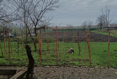Casă individuală cu 2 camere în Gornești