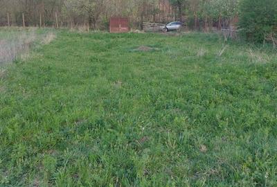 Teren de 1800 mp, în Ciurila - 2