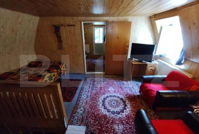 Cabana 4 camere Lunca Bradului - 9