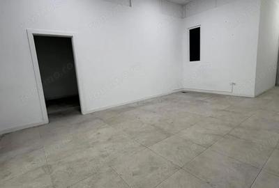Spațiu comercial, de 126 mp, în Theodor Pallady - 5