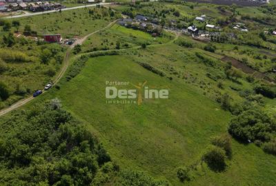 Teren Construcții intravilan de 8000 mp, în Ciurbești - 8