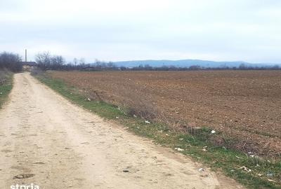 Teren de 15000 mp, în Gura Ocniței - 1