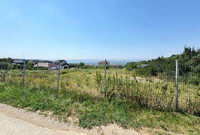 Teren de 960 mp, în Păun - 2