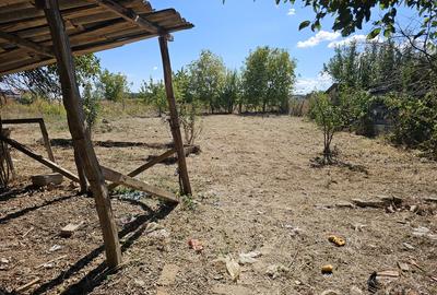 Snagov, Ciofliceni - 5