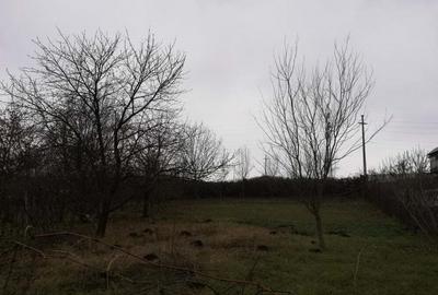 Casă cu 6 camere cu Teren 1848 Mp în Pașcani - 3