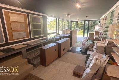 Depozit + Showroom, zonă premium Tomis Plus – Bulevardul Tomis - 5