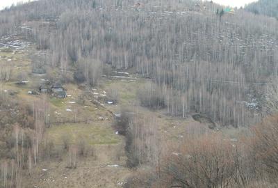Teren de 15000 mp, în Plopi