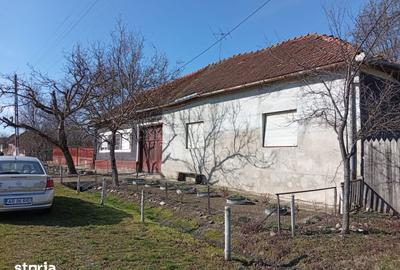 Casă cu 4 camere cu Teren 1400 Mp în Bârsa - 1