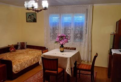 Casă cu 2 camere cu Teren 3150 Mp în Șanovița - 10