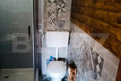 Casă cu 2 camere în Arieșeni - 8