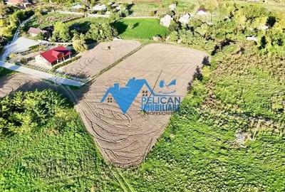 Teren de 6000 mp, în Sarinasuf - 5