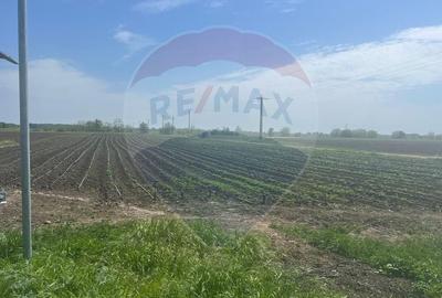 Teren Construcții intravilan de 6084 mp, în Jorăști - 3