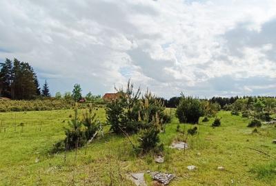 Teren Construcții intravilan de 1445 mp, în Reci - 12