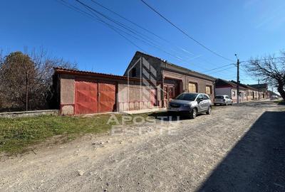 Casa cu 5 camere, 777 mp teren la MOLDOVA VECHE, ideal casa de vacanta - 2