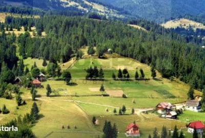 Spațiu comercial, în Arieșeni - 2