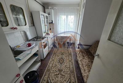 Regele Ferdinand, apartament 2 camere etaj 3/4, garaj - 5