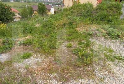 Teren de 1052 mp, în Borhanci