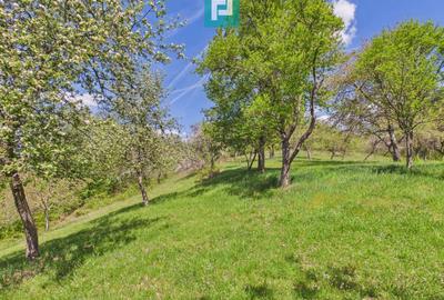 Casă individuală cu 2 camere cu Canalizare în Măgulicea - 23