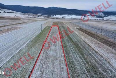 Spațiu comercial, în Zagon - 1