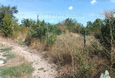 Teren intravilan in localitatea Cornetu cu deschidere mare, ideal pentru dezvolt Teren intravilan in localitatea Cornetu cu deschidere mare, ideal pentru dezvolt - 1