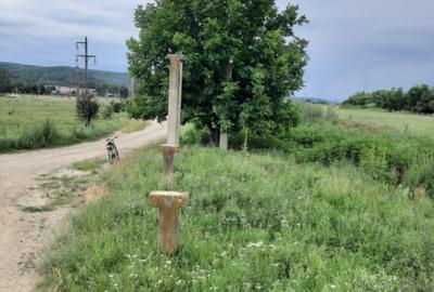 Teren extravilan de vanzare, 4900 mp, Bolde?ti Scaieni - 2