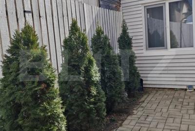 Apartament in vila, pe trei niveluri in Ghimbav - Brasov - 20