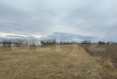 Teren de 5200 mp, în Central