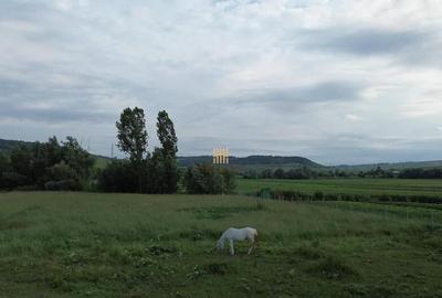 Teren 3953 mp Falticeni Tarna Mare De 0727817187 - 5