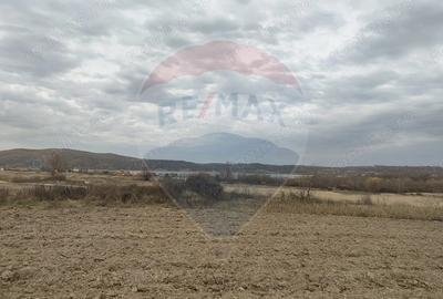 Teren de 11900 mp, în Fârdea - 3