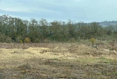 Teren de 2000 mp, în Sălicea - 1