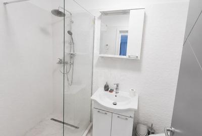 Apartament cu 2 camere, mobilat în B-dul București - 14