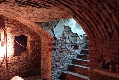 Vand casa la 20km de Oradea, in Ungaria, 2km de granita - 10