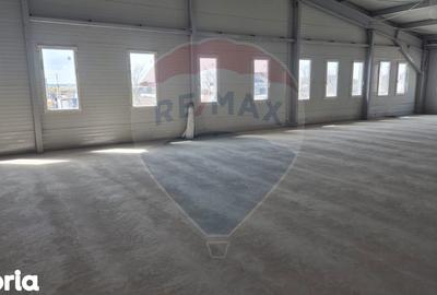 Spațiu comercial, de 2,645 mp, în Tunari - 5