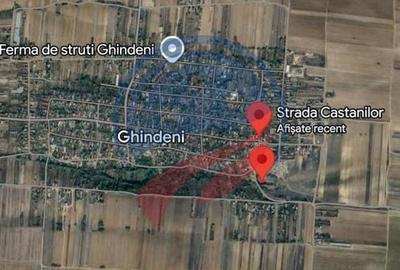 Teren de vanzare in Ghindeni/Dolj - 3