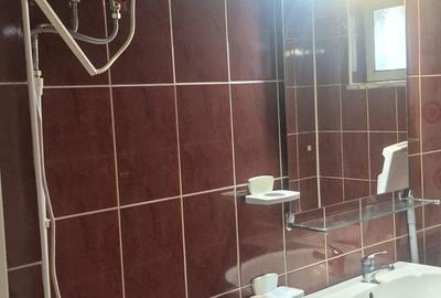 Apartament cu 2 camere în Gura Văii - 8