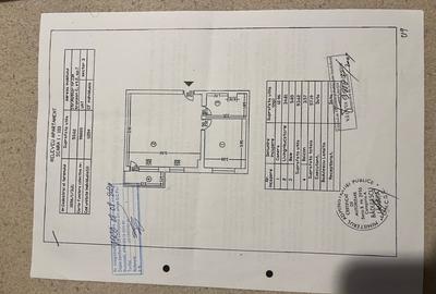 Apartament cu 2 camere semidecomandat, mobilat în Timpuri Noi - 12