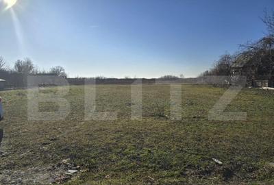 Teren 48 ari - Lazuri - 2