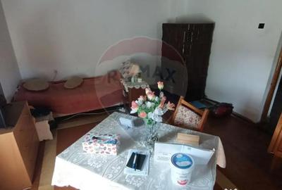 Casă cu 3 camere cu Teren 3000 Mp în Copalnic - 10