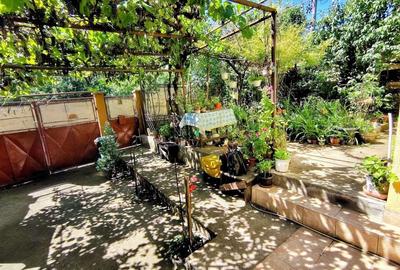 Casa unifamiliala 120 mp utili,  cu 477 mp teren, garaj, Dambul Rotund - 10