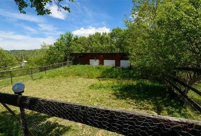 Pensiune:3 km de Castelul Bran,2.900mp teren,piscina,ciubar,teren sport,aviz ISU - 47