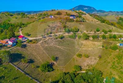 Teren agricol extravilan de 6014 mp, în Holbav - 9
