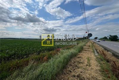 Teren de 8333 mp, în Secu - 5