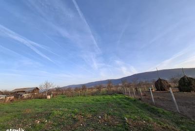 Casă cu 5 camere cu Teren 4443 Mp în Nicolae Bălcescu - 7