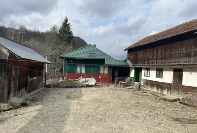 Casă cu Teren 2000 Mp în Terca - 7