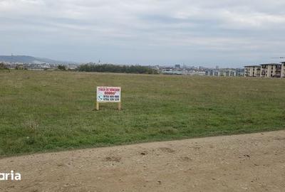 Teren de 6000 mp, în Turnișor - 2