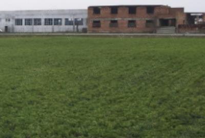 Spațiu comercial, în Cărpiniș - 17