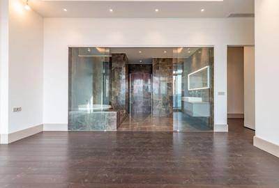 Penthouse spectaculos de vanzare - 3