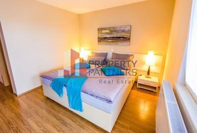 Vilă in Bran cu teren de 28.000 mp și priveliște spectaculoasa - 11