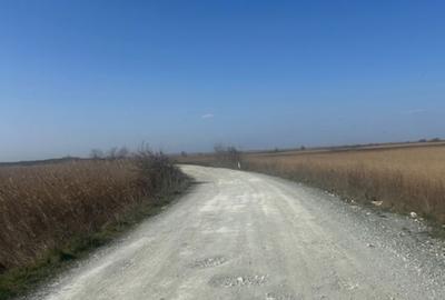 Teren de 1000 mp, în Corbu - 11