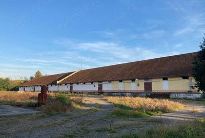 Hala de inchiriat - 5